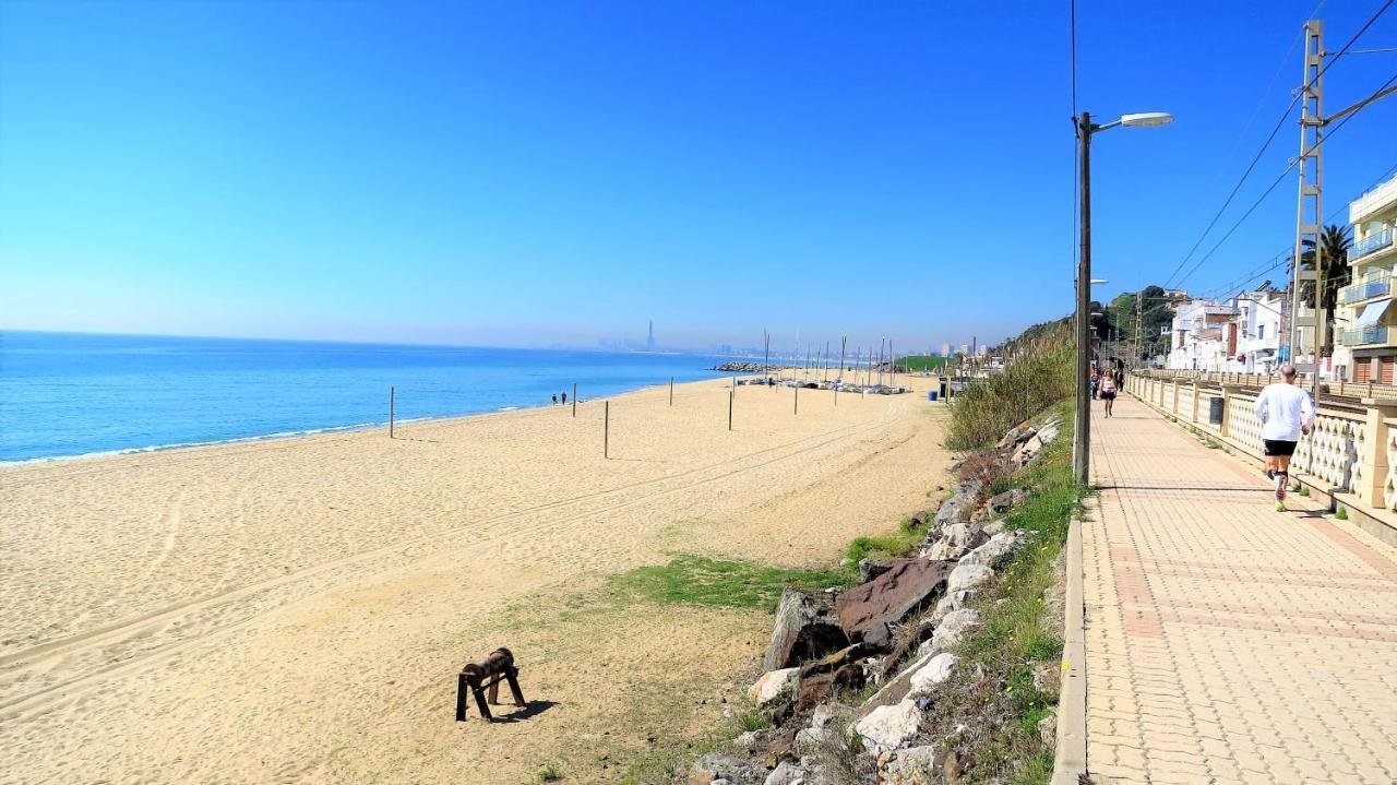 Liana Seaview & -